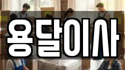 용달이사