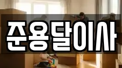 준용달이사