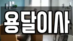 용달이사
