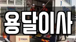 용달이사
