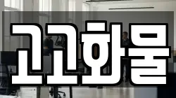 고고화물