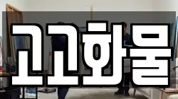 고고화물