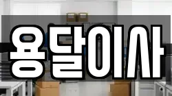 용달이사
