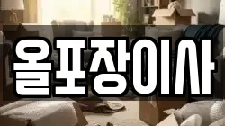 올포장이사