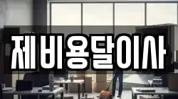 제비용달이사