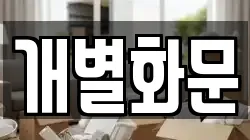 개별화문
