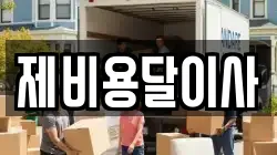 제비용달이사