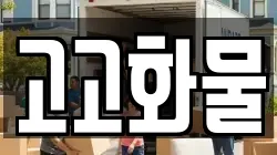 고고화물