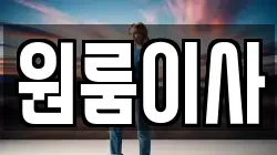 원룸이사