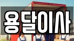 용달이사