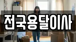 전국용달이사
