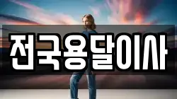 전국용달이사