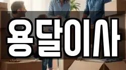 용달이사