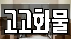 고고화물
