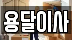 용달이사