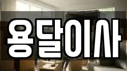 용달이사
