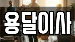 용달이사