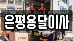 은평용달이사