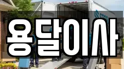 용달이사