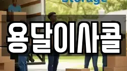 용달이사콜