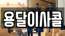 용달이사콜