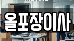 올포장이사