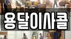 용달이사콜