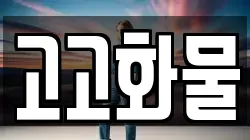고고화물