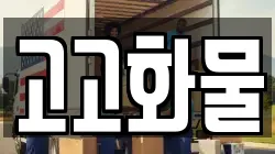 고고화물