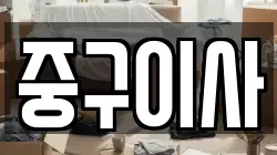 중구이사