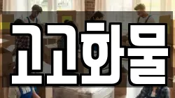 고고화물