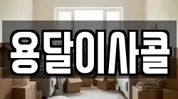 용달이사콜