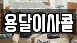 용달이사콜