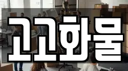 고고화물