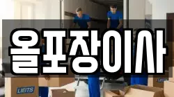 올포장이사