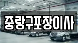 중랑구포장이사