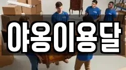 야옹이용달