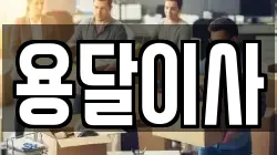 용달이사