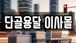 단골용달 이사몰