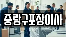 중랑구포장이사