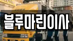 블루마린이사