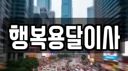 행복용달이사