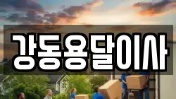 강동용달이사