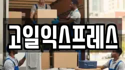 고일익스프레스