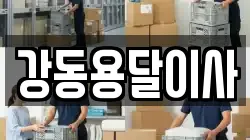 강동용달이사