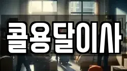 콜용달이사