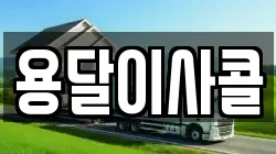 용달이사콜