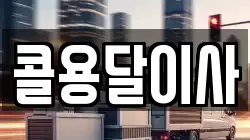 콜용달이사