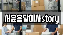 서윤용달이사story
