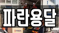 파란용달